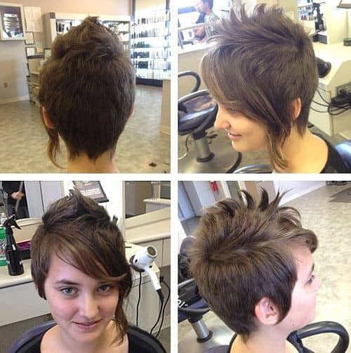 Asymmetrical Brown Bob