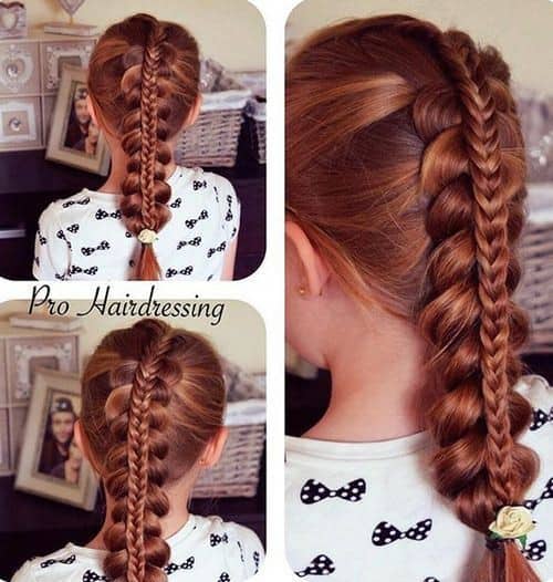 “Double Dutch” braid