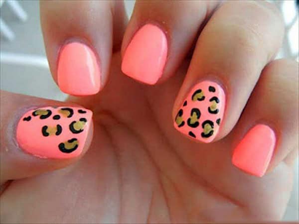 A lil’ bit of leopard