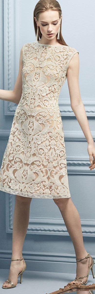 Elegant Lace Dress Outfit