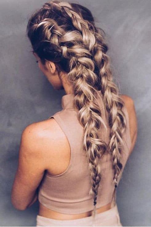 Chic Double Braids for Long Hair