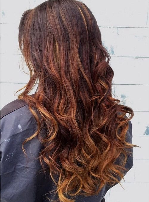 Long Brown Curls with Brown Highlights