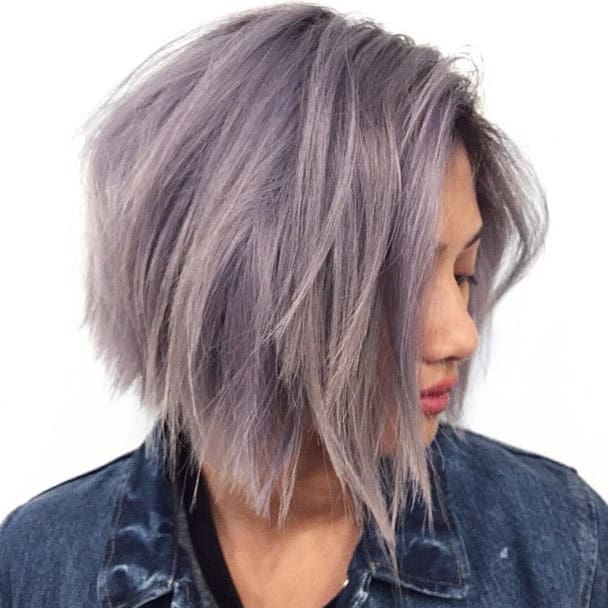 Rugged Lilac Bob