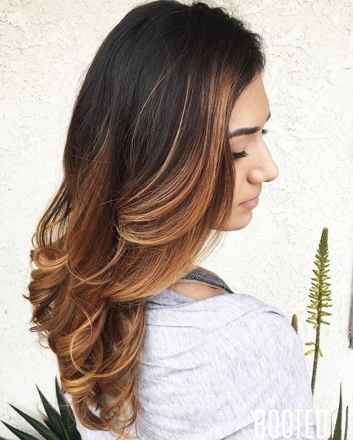 Dark to Light Brown Ombre Blend