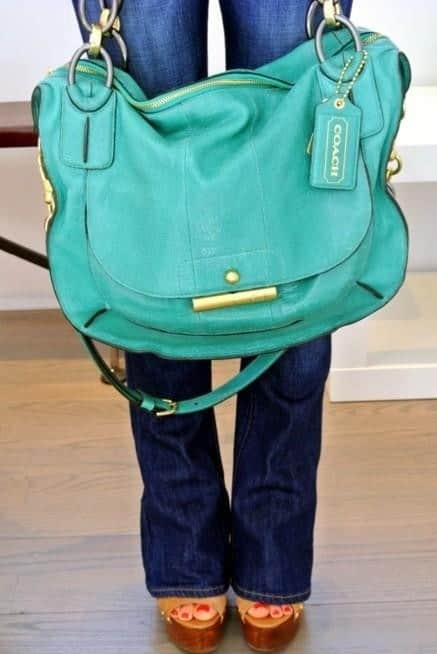 Teal purse