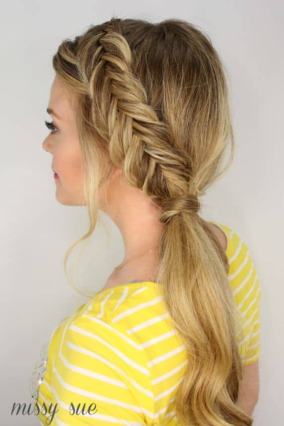 Cute Braided Ponytail