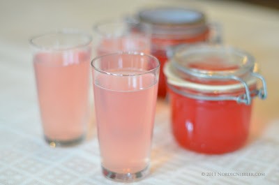 Rhubarb Gin and Tonic